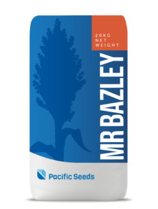 MR – Bazley
