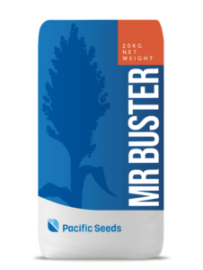 MR – Buster