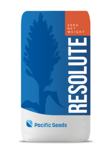 Resolute