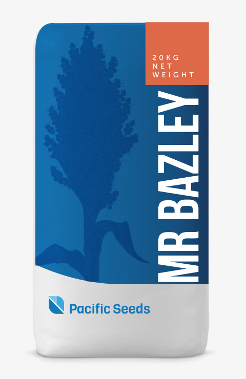 MR – Bazley