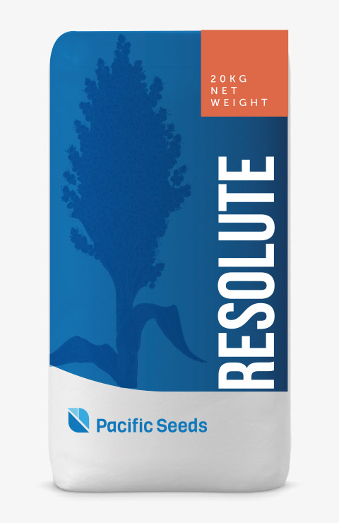 Resolute