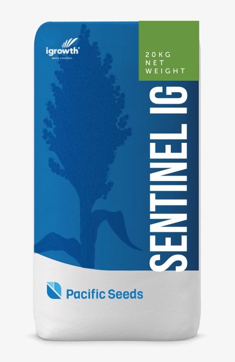 Sentinel IG