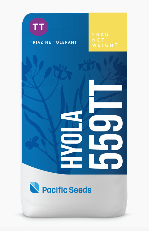 Hyola 559TT