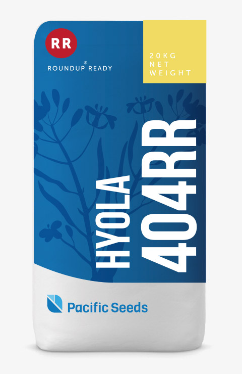 Hyola 404RR