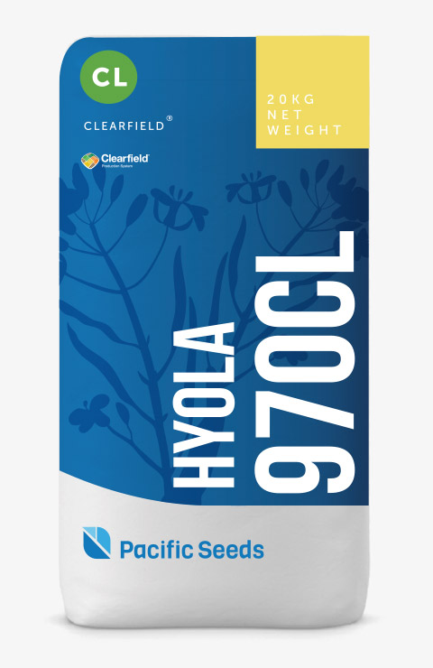 Hyola 970CL