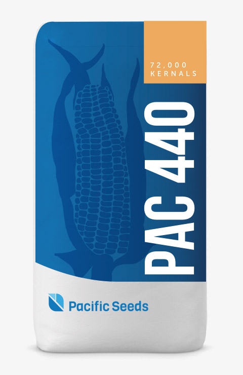 PAC 440