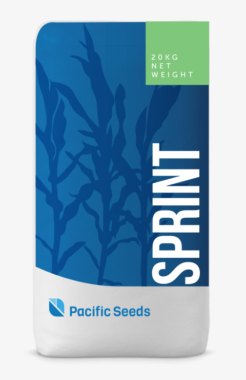 Sprint