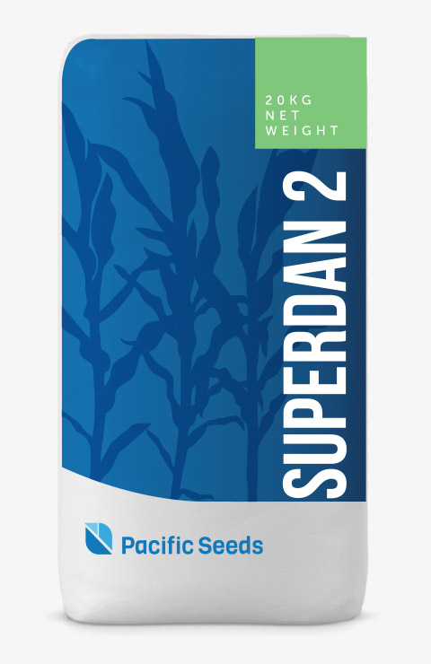 Superdan 2