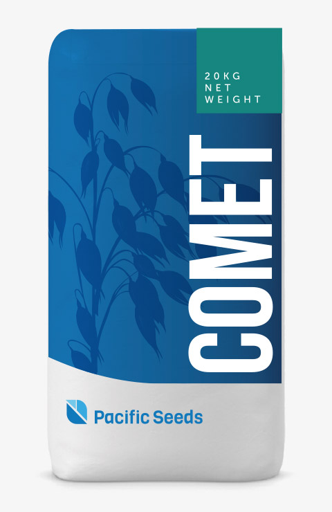 Comet