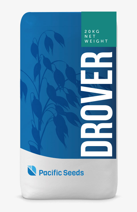 Drover