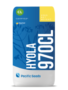 Hyola 970CL