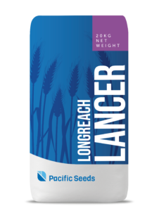 Lancer