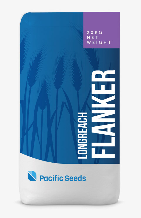 Flanker