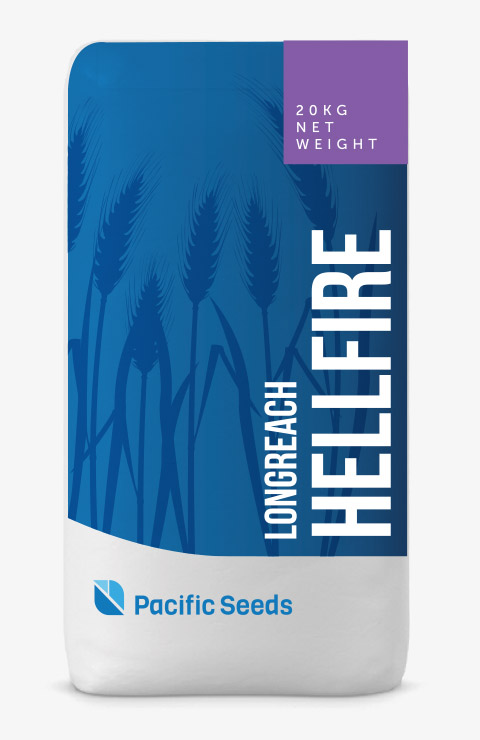 Hellfire
