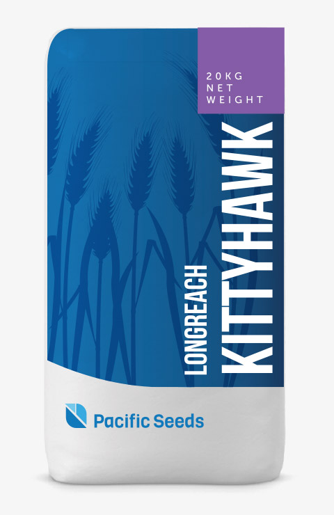 Kittyhawk