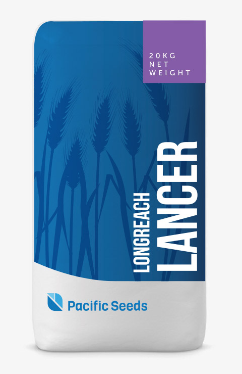Lancer