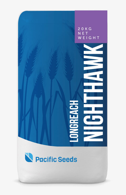 Nighthawk