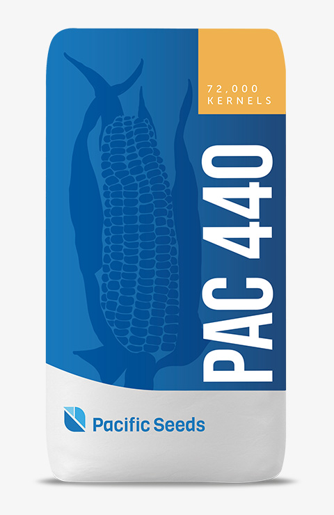 PAC 440