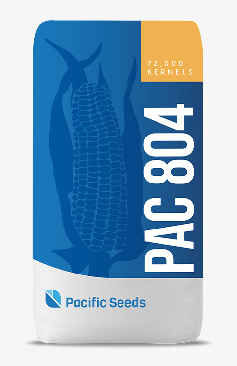 PAC 804