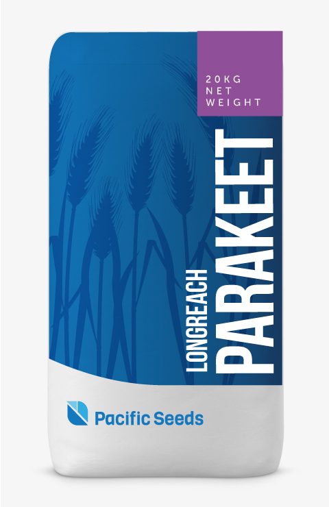 Parakeet