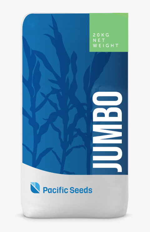 Jumbo