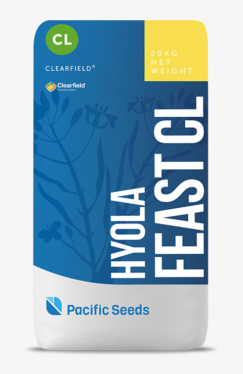 Hyola Feast CL