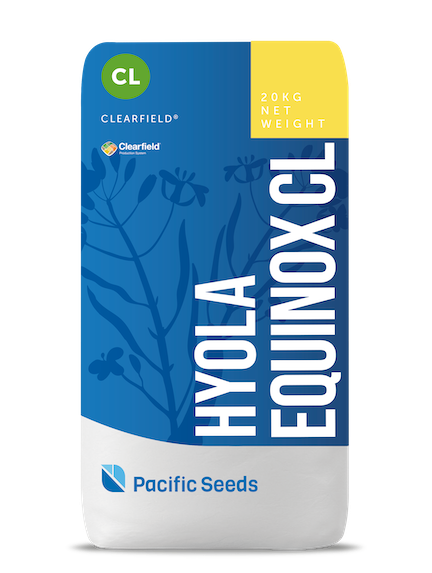 Hyola Equinox CL