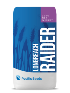 Raider