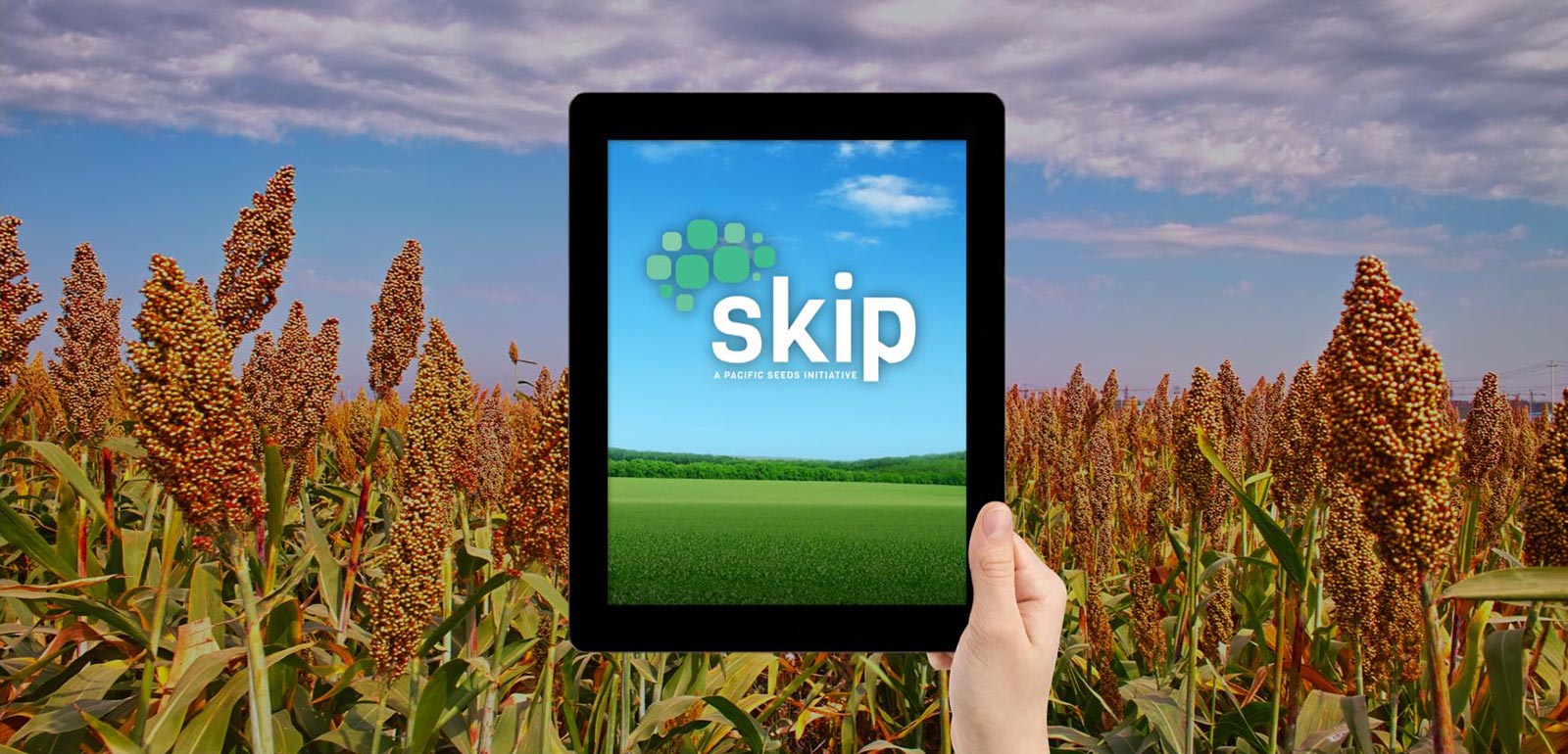 SKIP - Pacific seeds initiative