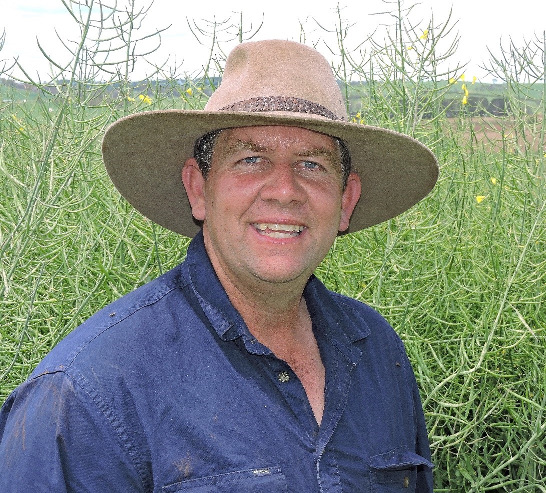 Merinos benefit from Hyola 970CL Canola solution Pacific Seeds