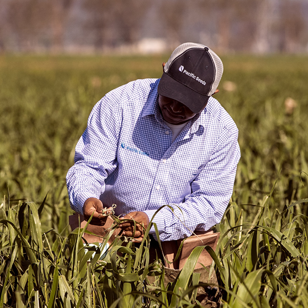 Field Operations