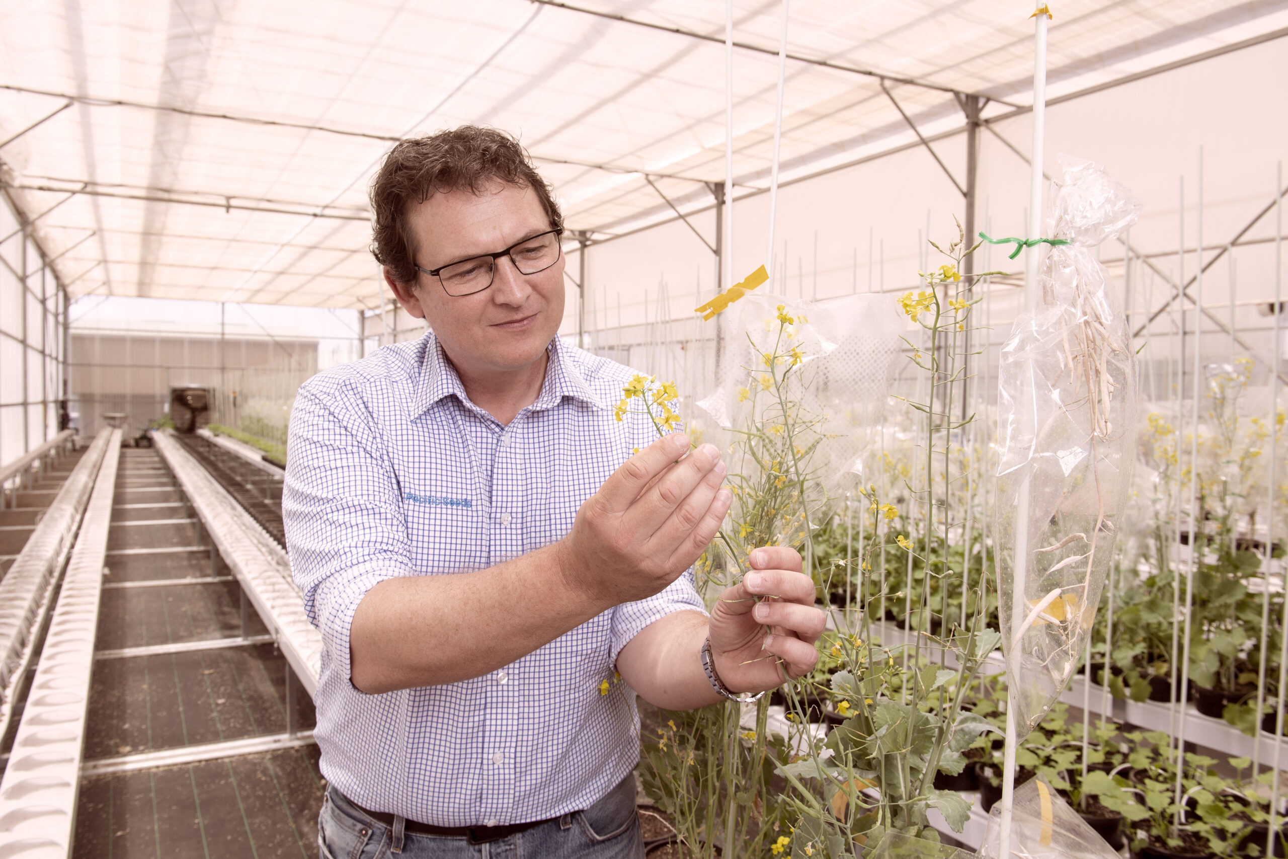 Man in greenhouse inspecting yellow flower