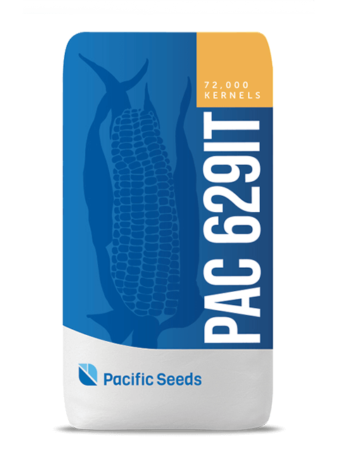 PAC 629IT
