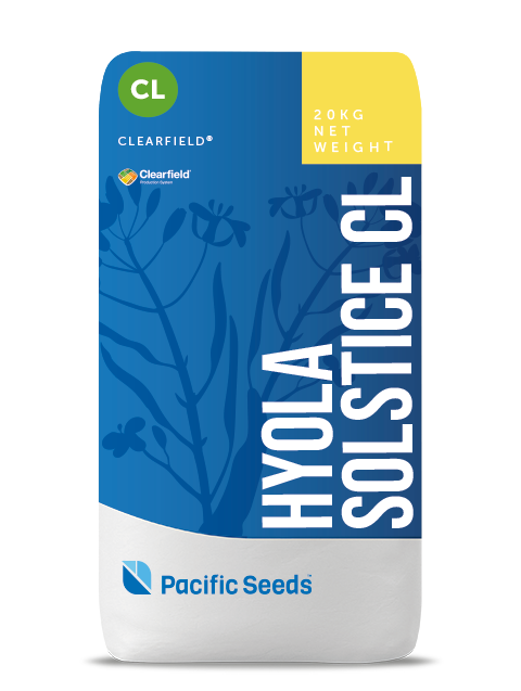 Hyola Solstice CL