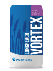 Vortex